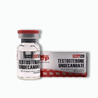 Testosterone Undecanoate 10ml